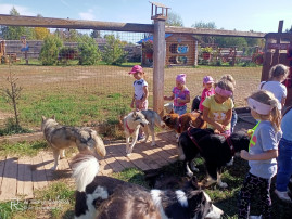 Экскурсия в "Деревню Хаски" Экскурсия в "Деревню Хаски".